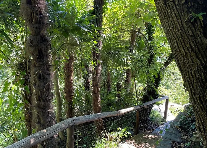 펜션 Casa Pipistrello By Fewotessin 론코 소프라 아스코나