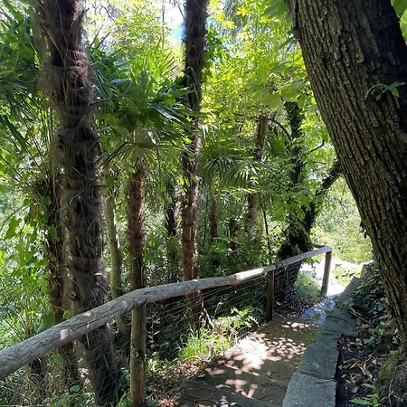 Ferienhaus Casa Pipistrello By Fewotessin Ronco sopra Ascona
